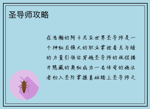 圣导师攻略